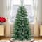 6ft. Pre-Lit Acacia Artificial Christmas Tree, Multicolor Lights